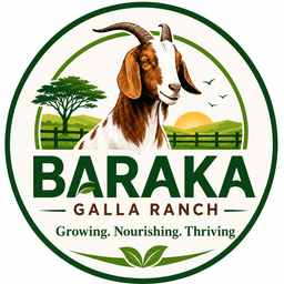Baraka Galla Logo